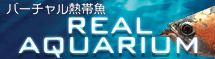 2009logo_final